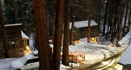 Sequoia National Forrest CabinK
