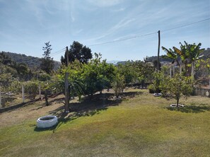 Property grounds - Farm in Socorro wi-fi, solar heated pool, hot tub  (Socorro)