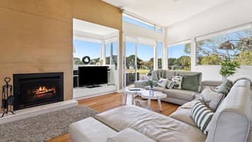 Télévision, cheminée, lecteur de DVD