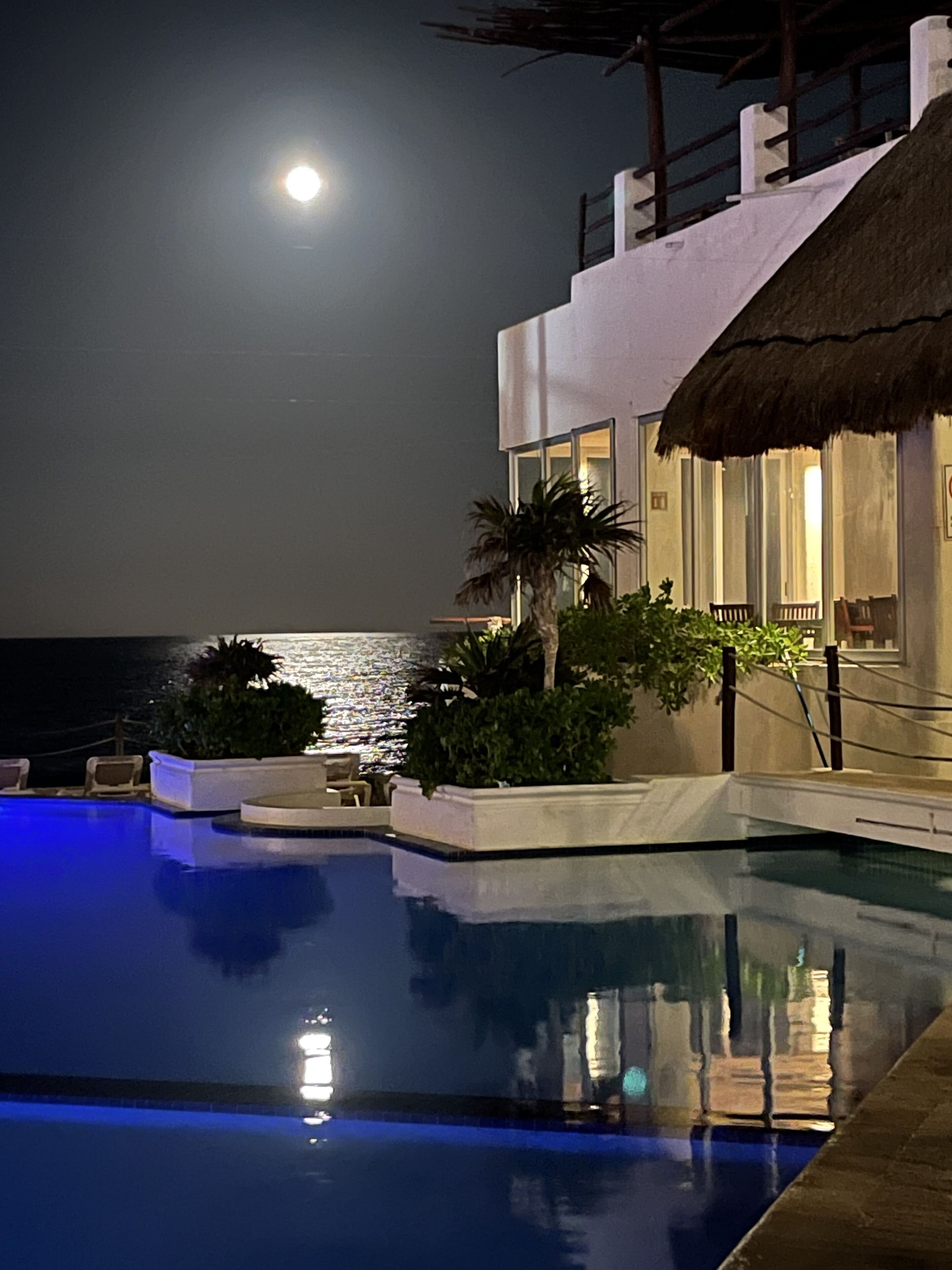 Ocean View Apartment Panoramic View