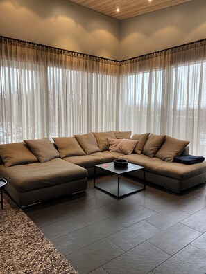 TV connectée, cheminée, lecteur de DVD