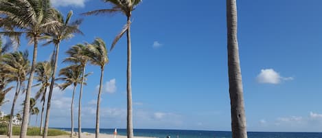 Sun loungers, beach towels