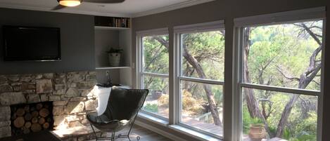 Smart TV, fireplace, books