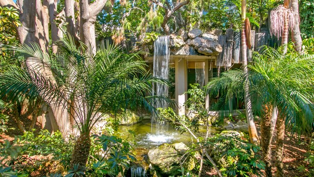 A lush garden with a waterfall, palm trees, and a small pond.