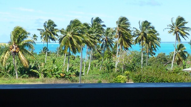 Vista de uma paisagem tropical com palmeiras e um céu azul límpido.