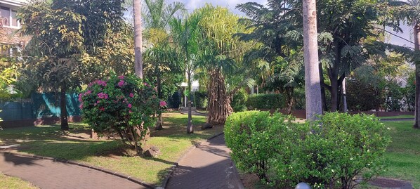A pathway through a garden with various trees and shrubs.