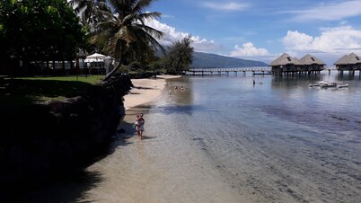 Charming Apartment Near the Museum of Tahiti & Island Beaches