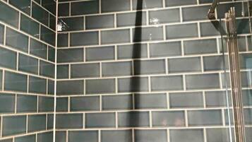 House (1 Bedroom) | Bathroom