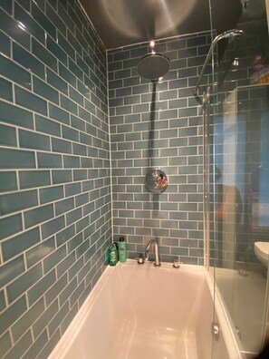 House (1 Bedroom) | Bathroom