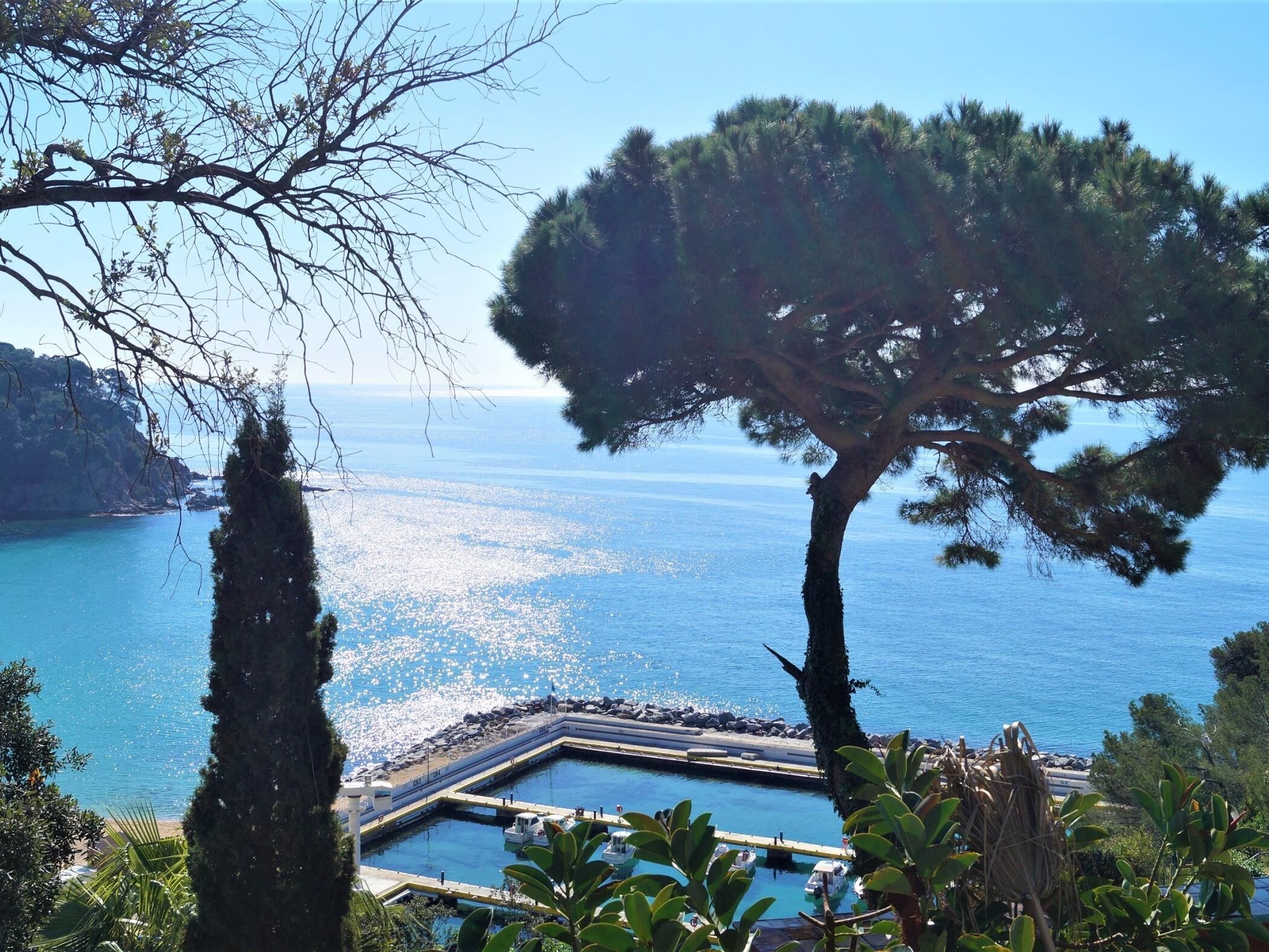 A coastal marina with boats docked, surrounded by trees and a clear view of the sea.