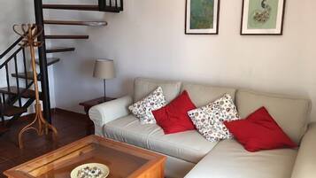 TV, fireplace, books