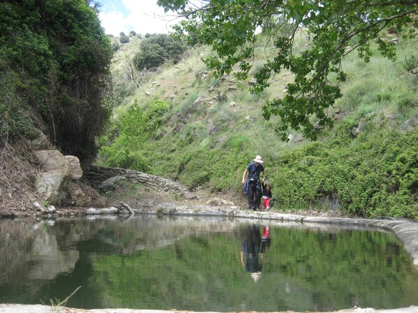 A natural landscape with a pond, rocky terrain, and dense greenery.