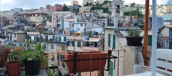 THE GECKO ON THE ROOFS OF GENOA<br>010025-LT-1029