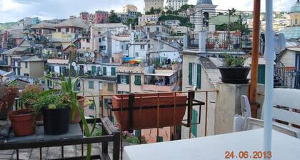 THE GECKO ON THE ROOFS OF GENOA<br>010025-LT-1029