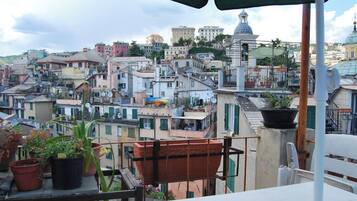 Terraza en la azotea con plantas en macetas y vistas a una zona urbana densamente poblada con diversos edificios.
