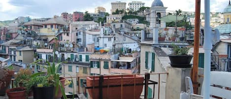 Terraza en la azotea con plantas en macetas y vistas a una zona urbana densamente poblada con diversos edificios.