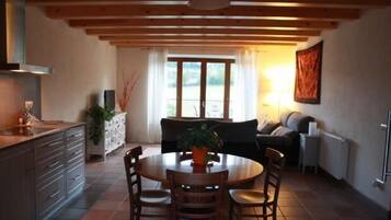 TV, fireplace, DVD player