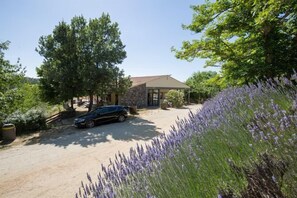 Overnattingsstedets uteområder