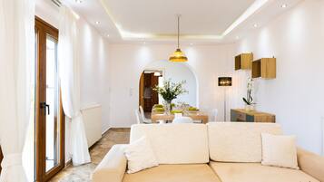 Flat-screen TV, fireplace, video-game console, DVD player