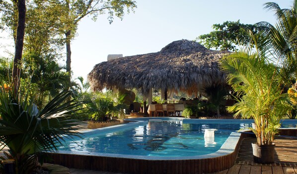 Outdoor pool - Villa Madera : Luxury Villa at walking distance from Cabarete Beach (Cabarete)