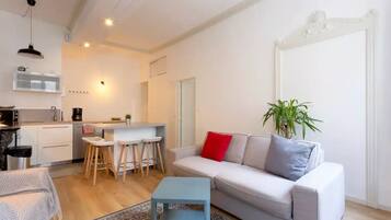 Smart TV, fireplace, books