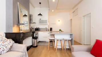 Smart TV, fireplace, books