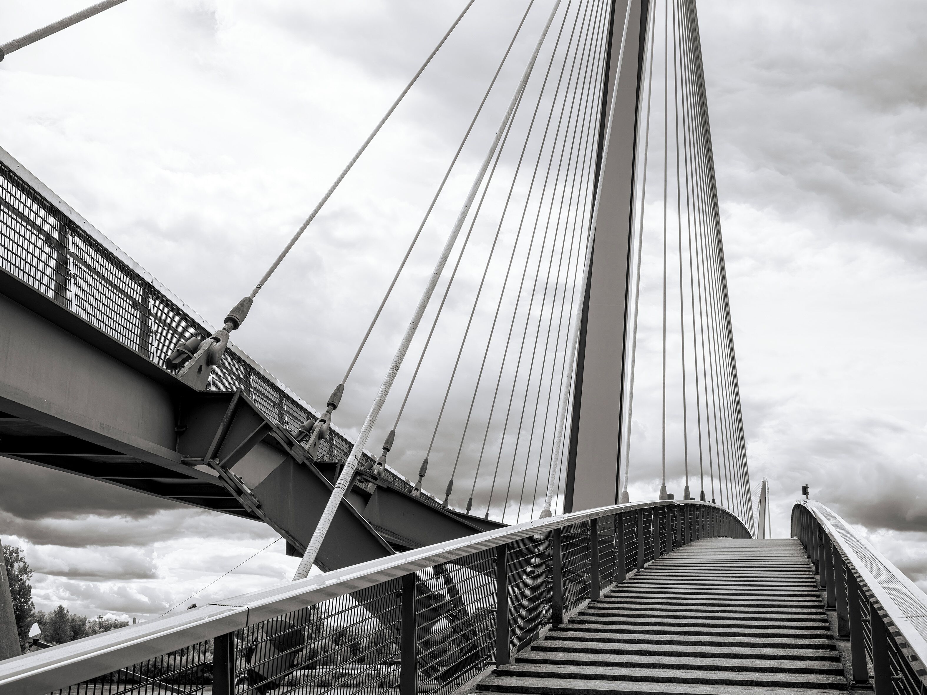 Un puente con pasarela peatonal y sistema de cables.