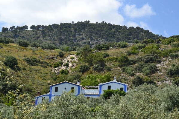 A blue building with two visible windows and a chimney, surrounded by dense vegetation and a hill with trees in the background. - Self catering El Rincón de Carmen for 2 people (Rute)