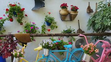 Terrein van de accommodatie