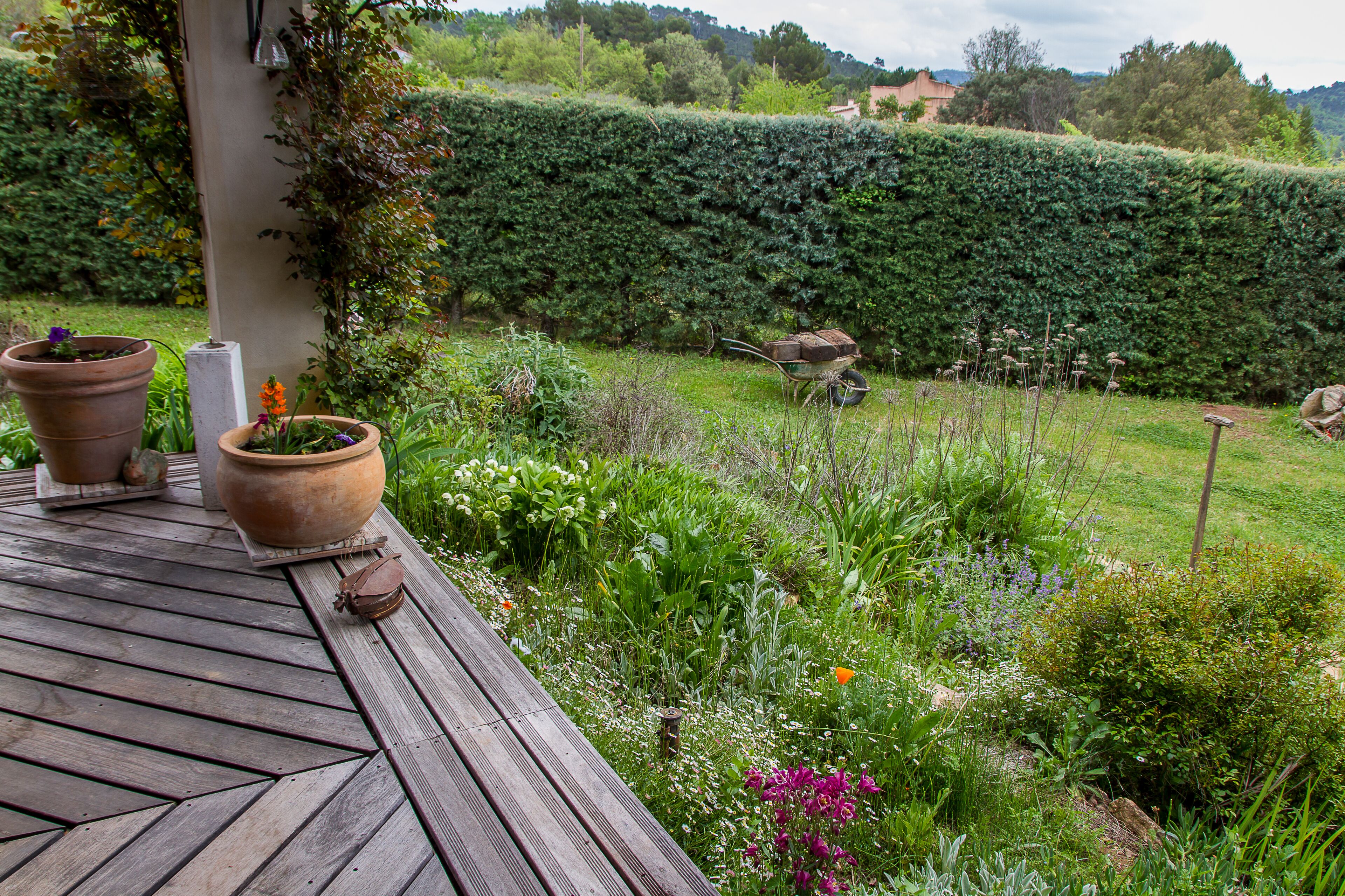 A wooden deck with potted plants and a garden view.