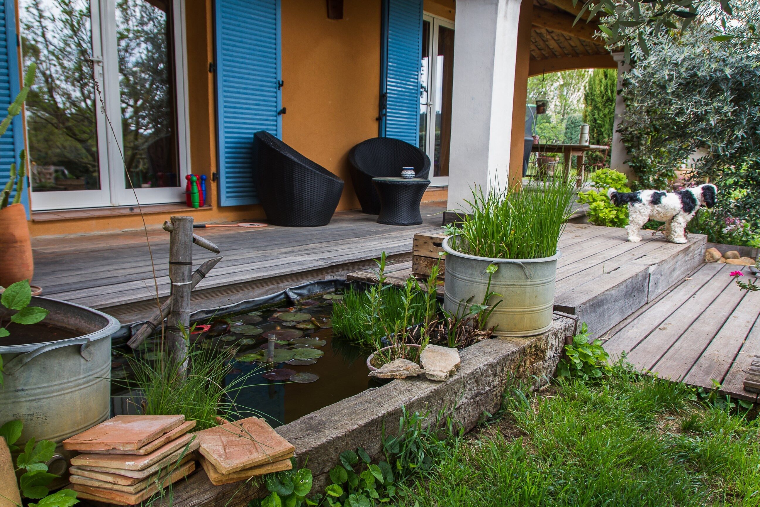 A wooden deck with a small pond, potted plants, and a dog.