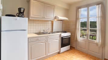 Fridge, oven, stovetop, electric kettle