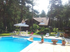 Pool - Siewierz: Traditional wooden dacha, private pool, possibility of sleeping 10 (Siewierz)