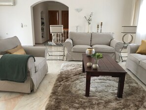 Televisión, chimenea y libros 