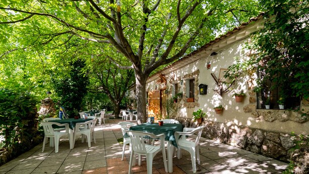 An outdoor patio with white plastic chairs and tables, surrounded by lush greenery and a stone wall.
