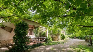 A rustic building with a covered porch, surrounded by lush greenery and a gravel path.