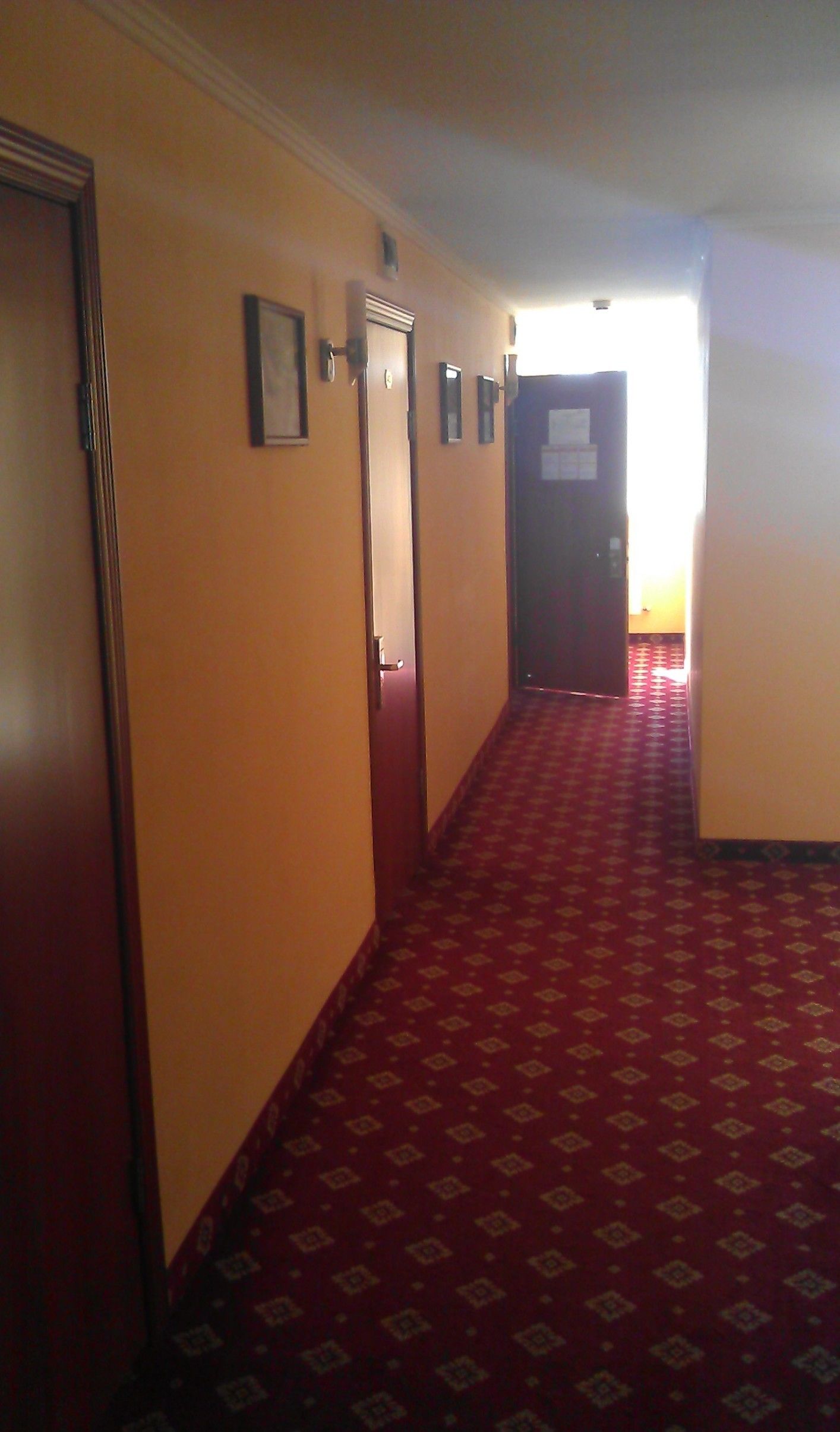 Um corredor com carpete estampado, portas de madeira e quadros nas paredes.