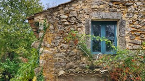 A rustic stone building with a blue door and window, surrounded by greenery.