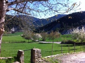 Áreas de la propiedad