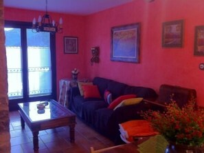 Televisor, llar de foc, reproductor de DVD i llibres