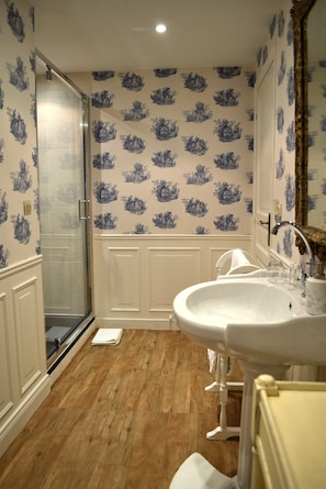 Shower, hair dryer, towels, soap - 3*** character gîte near Beauval zoo and châteaux, with swimming pool (Selles-sur-Cher)