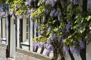 Um edifício com fachada branca e molduras de janela pretas, com uma videira de glicínias e flores roxas.