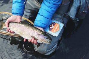 Eine Person hält einen Fisch in einem Korb.
