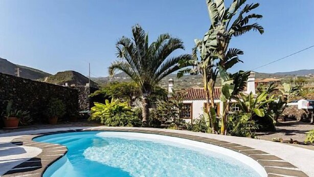 Une piscine bordée de pierres, entourée de plantes tropicales et d’un mur en pierre.