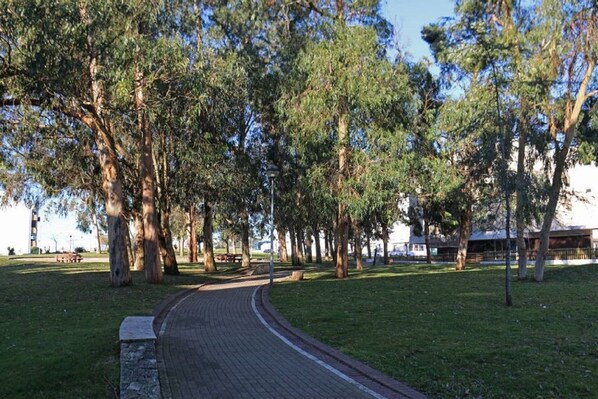 Terrain de l’hébergement 