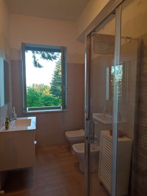 Un baño moderno con un ventanal grande, una cabina de ducha de vidrio y un lavabo blanco.