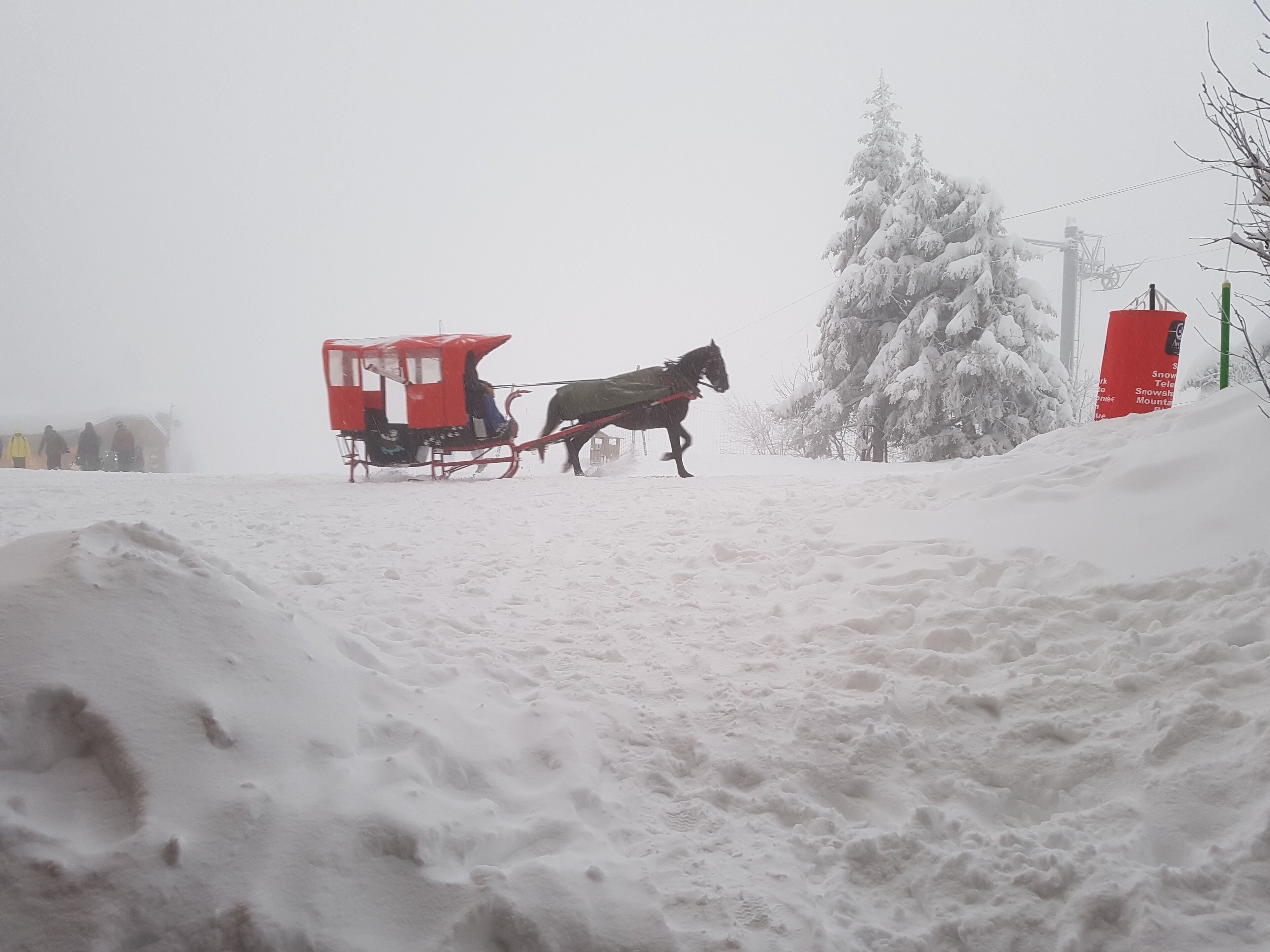 A horse-drawn sleigh on a snowy path with a red structure in the background.