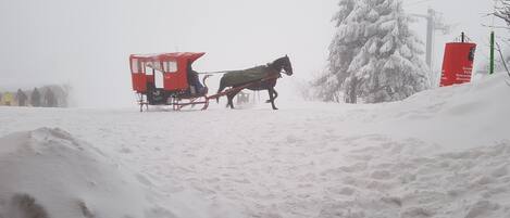 A horse-drawn sleigh on a snowy path with a red structure in the background.