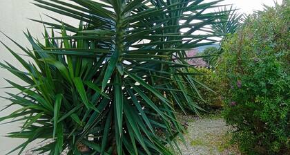 Rural, Quiet and Peaceful apartment with a pool - Near Lisbon