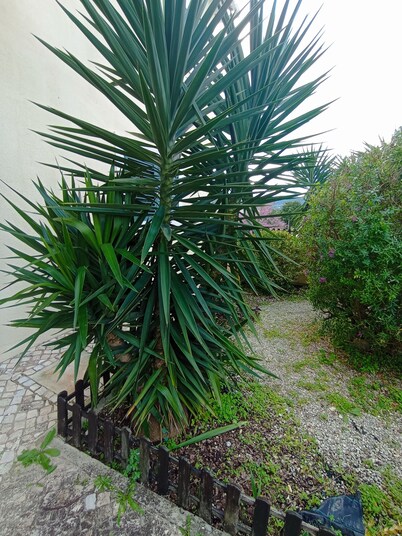 Rural, Quiet and Peaceful apartment with a pool - Near Lisbon